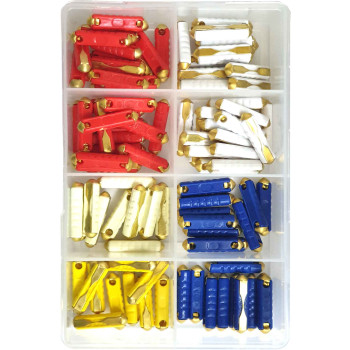 100pc Mixed Ceramic Fuse Kit