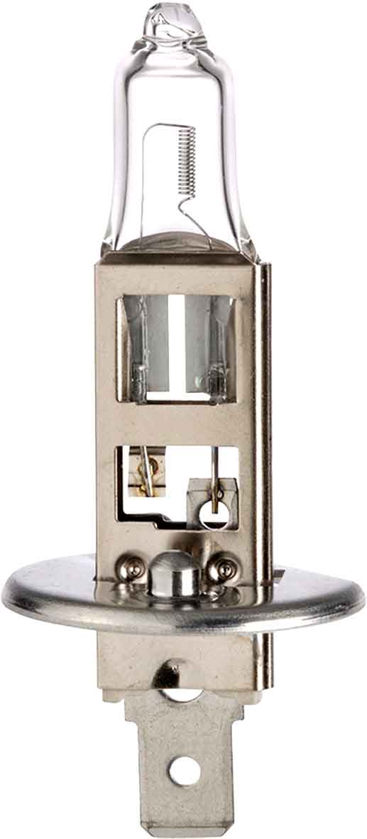 Pack of 10 12V H1 Halogen Globe 55W