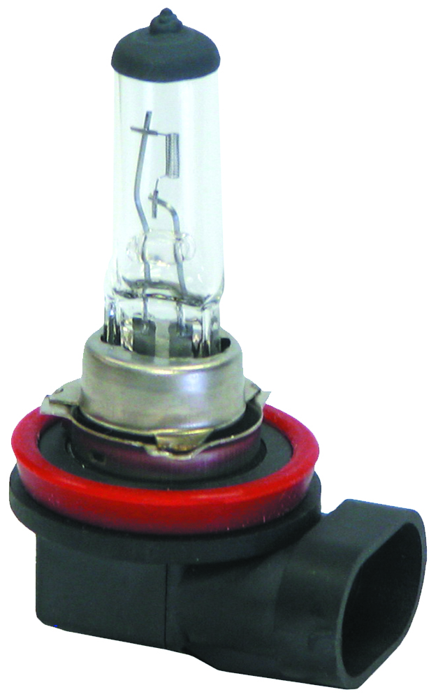 Pack of 10 12V H11 Halogen Globe 55W
