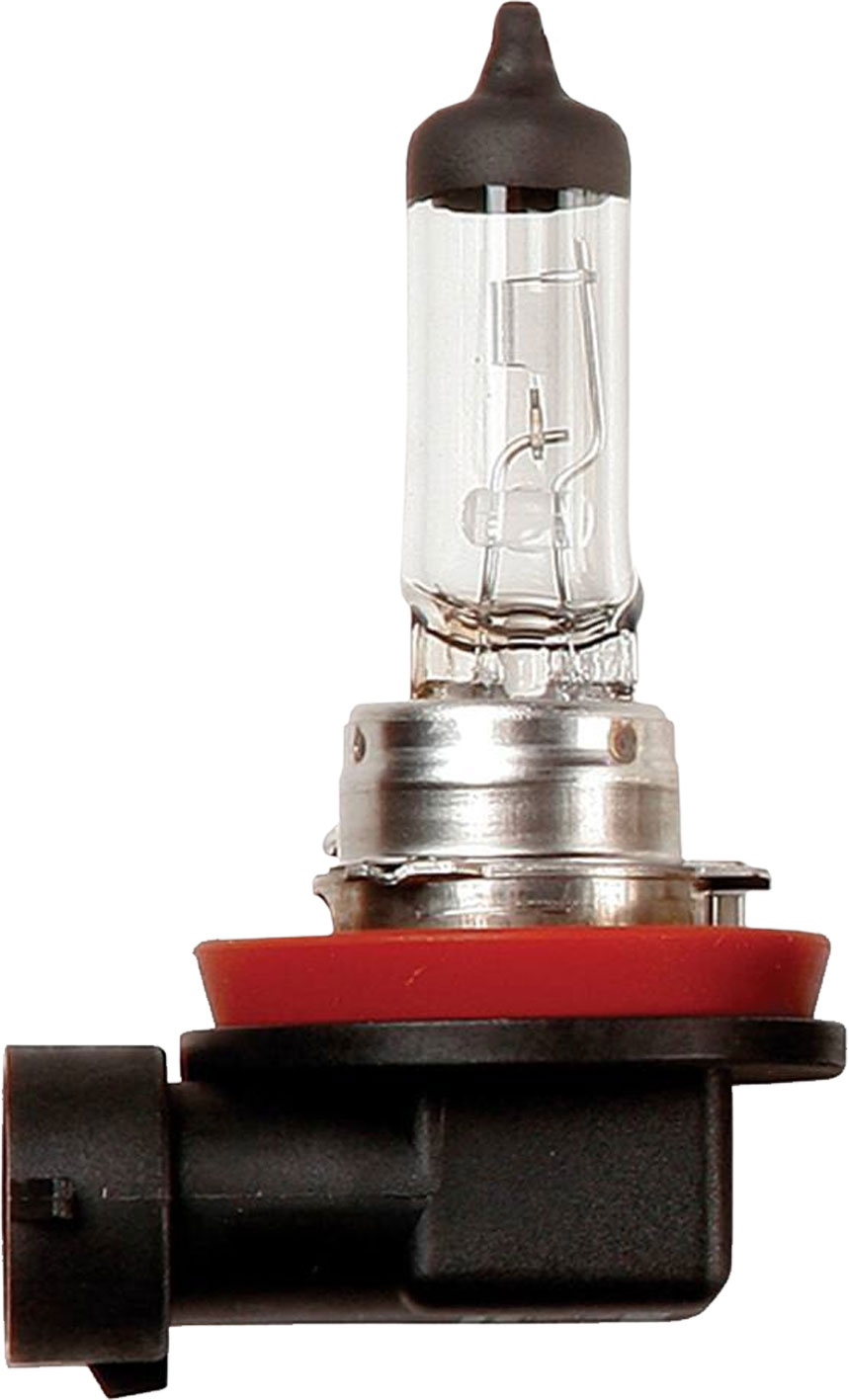 Pack of 10 12V H8 Halogen Globe 35W
