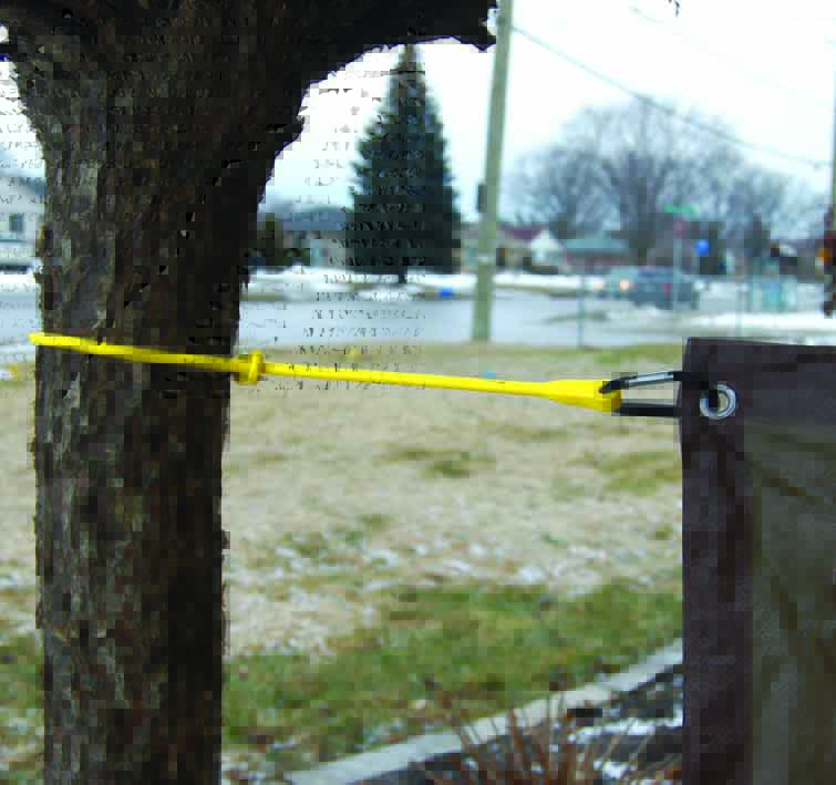2pc Loop and Clip Hang Strap System