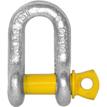 8mm D-Shackle