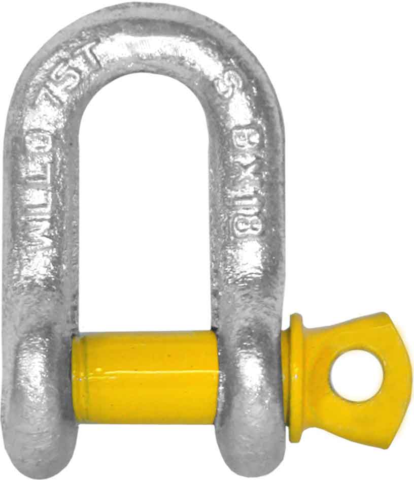 8mm D-Shackle