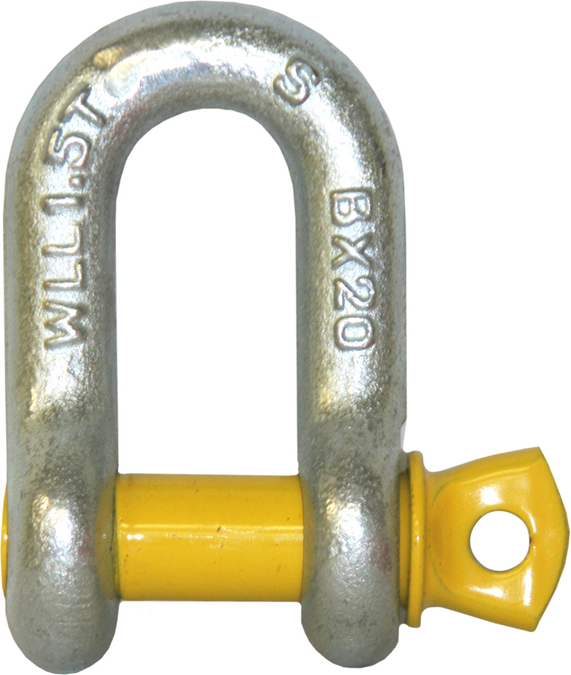 11mm D-Shackle