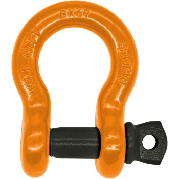 19mm D-Shackle