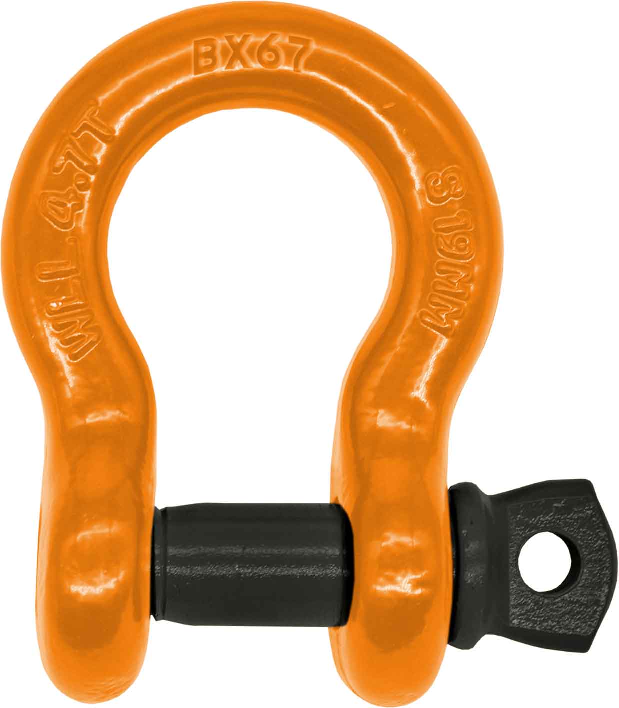 19mm D-Shackle