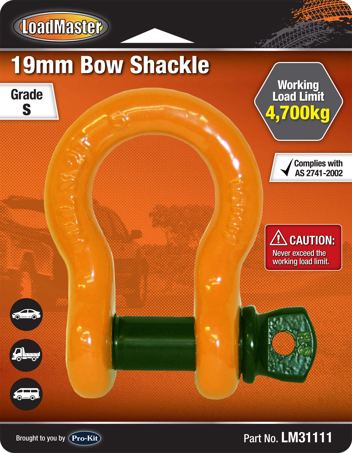 19mm D-Shackle