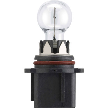 12V P13W Halogen Globe 13W
