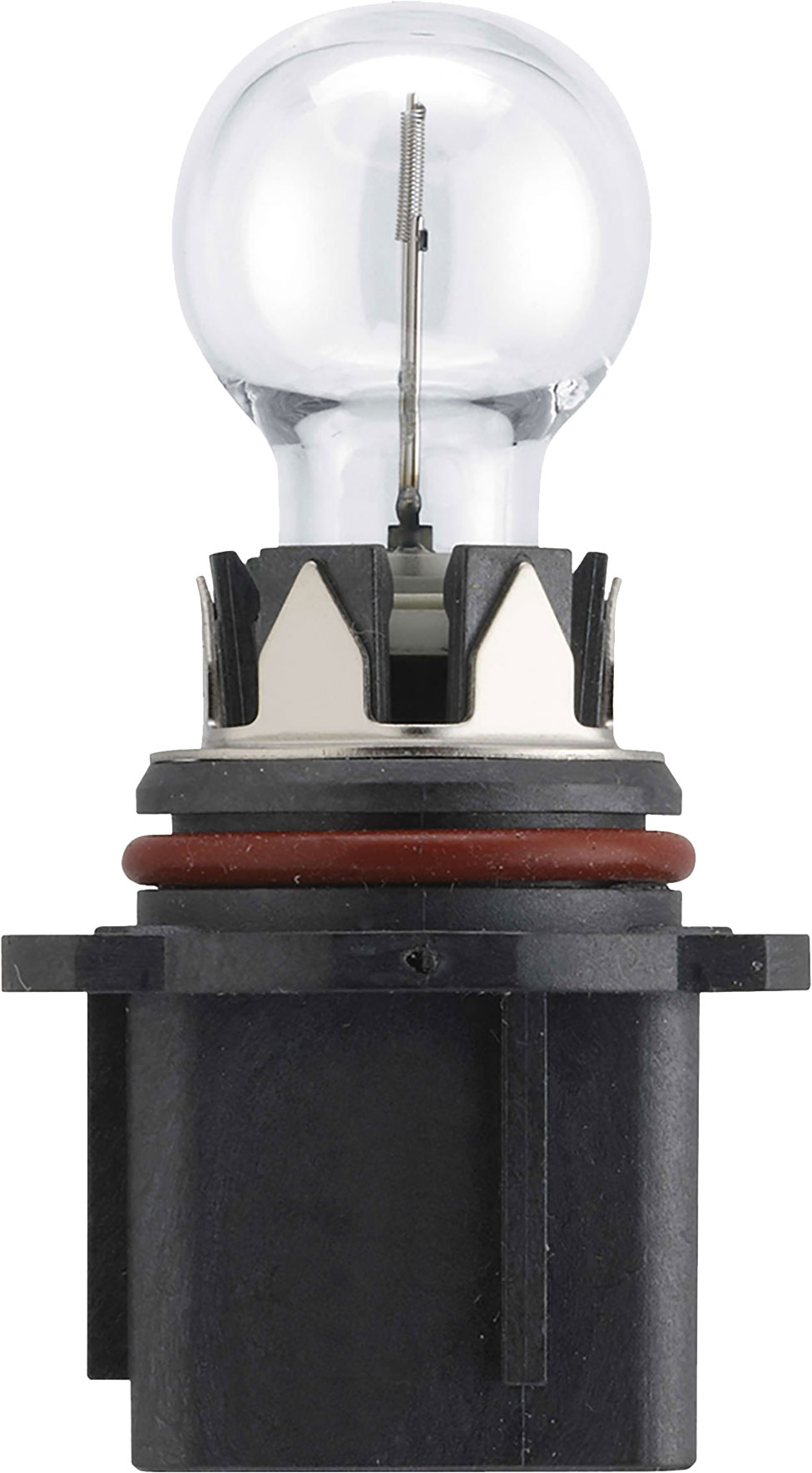 12V P13W Halogen Globe 13W