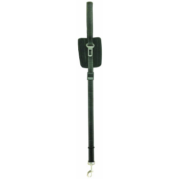 Stride ’n’ Ride Pet Leash
