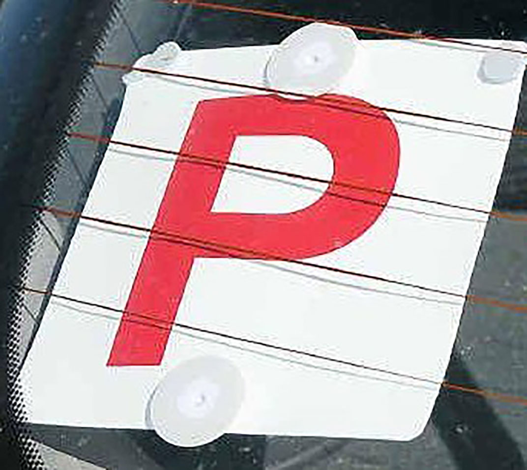 2pc Double Sided L & P Plates