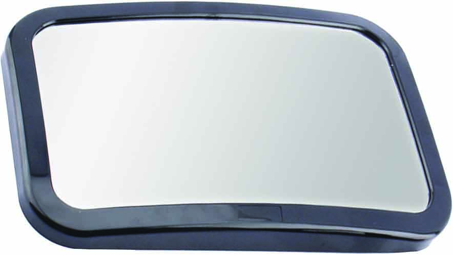 Back Seat Monitoring Mirror
