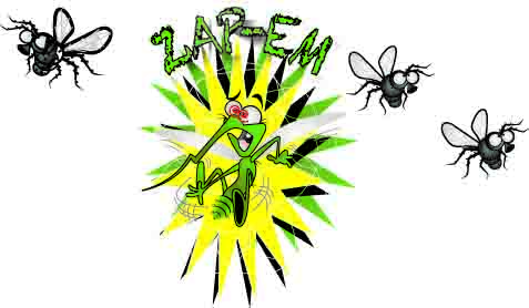 BUG EXTERMINATOR – WITH TORCH