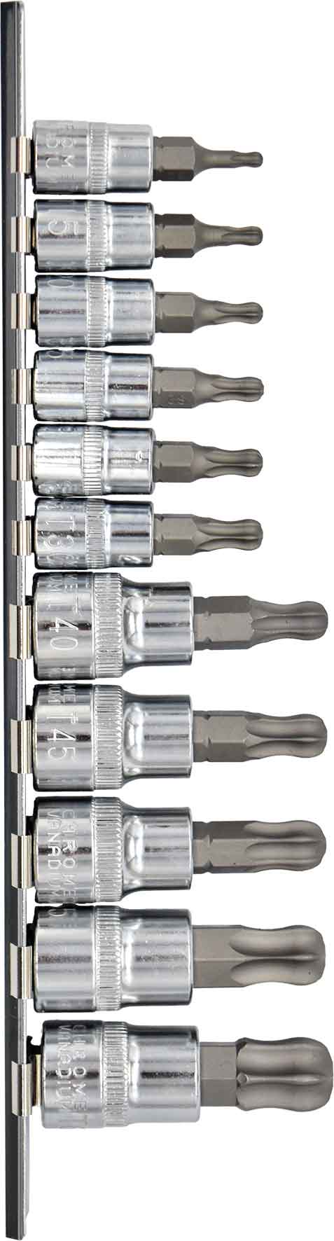 11pc 1/4” to 3/8” Dr Ball End Star Bit Socket Set