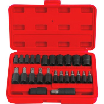 25pc 1/4", 3/8" & 1/2" Dr Star Socket & Bits Set