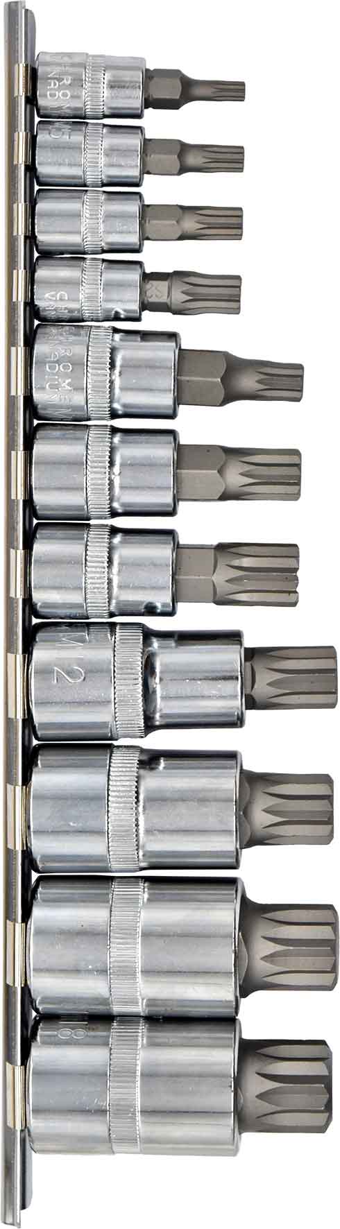 11pc 1/4”, 3/8” & 1/2” Dr Spline Bit Socket Set