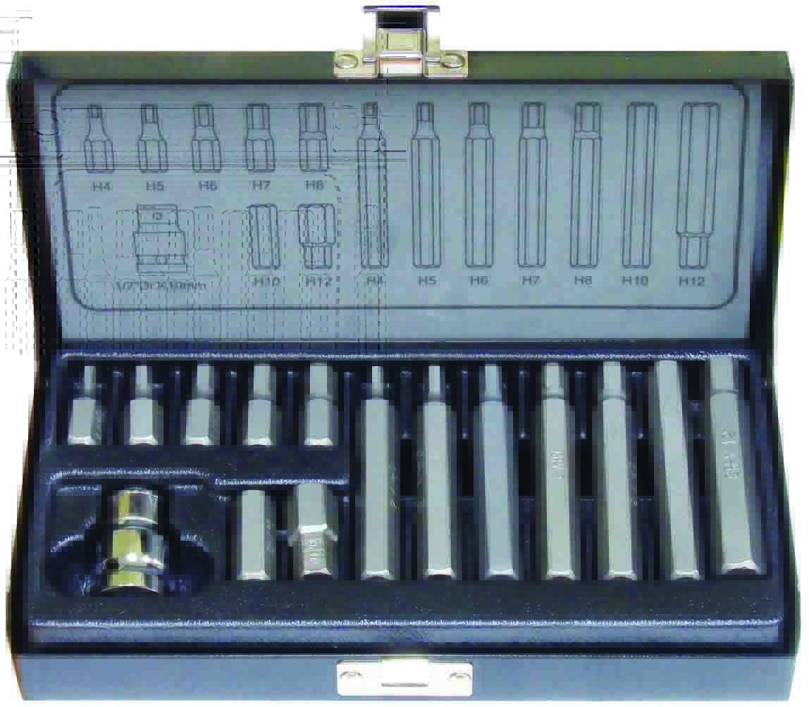 15pc 1/4″ Hex Metric Hex Bits Set