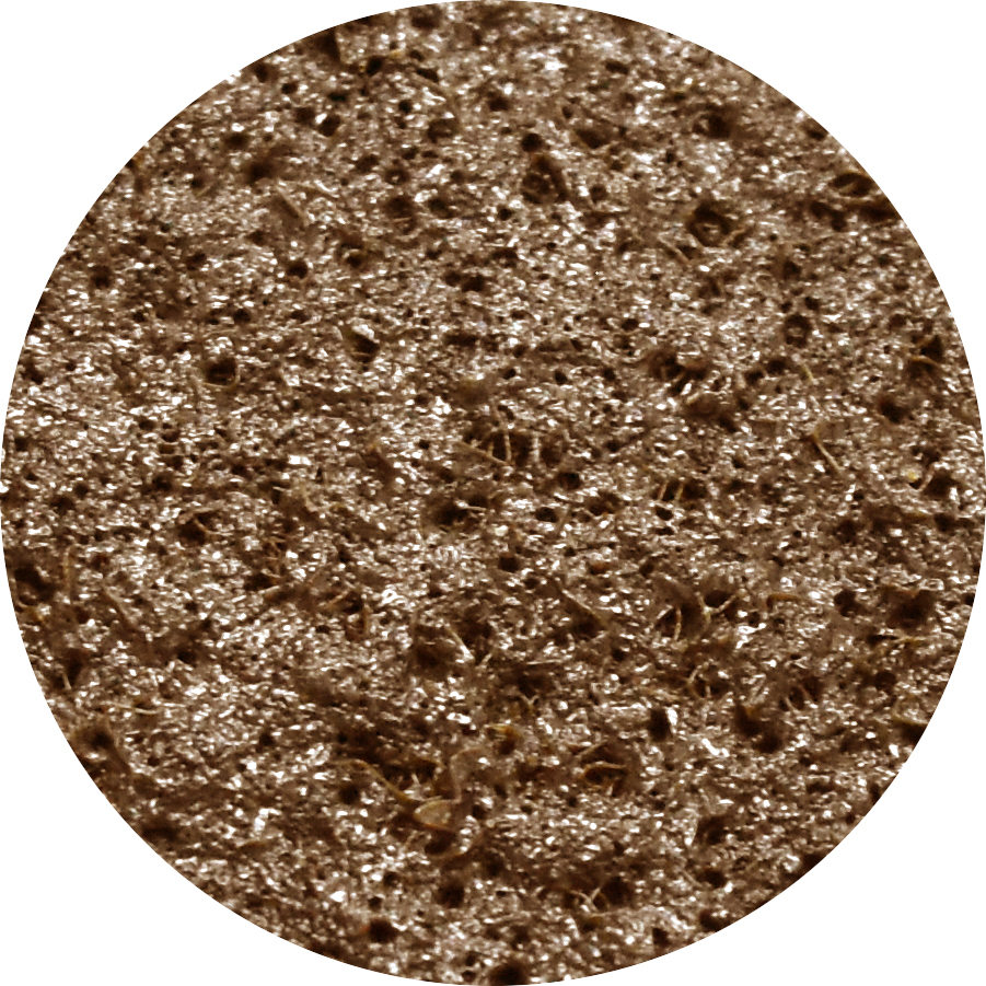 16pc 75mm Mini Surface Conditioning Sanding Disc Set