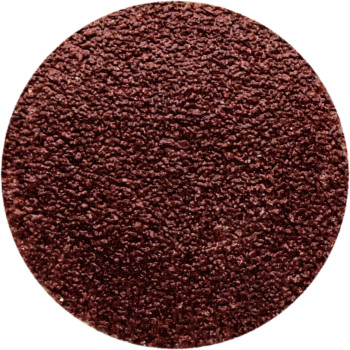 10pc 60 Grit Aluminium Oxide Sanding Discs