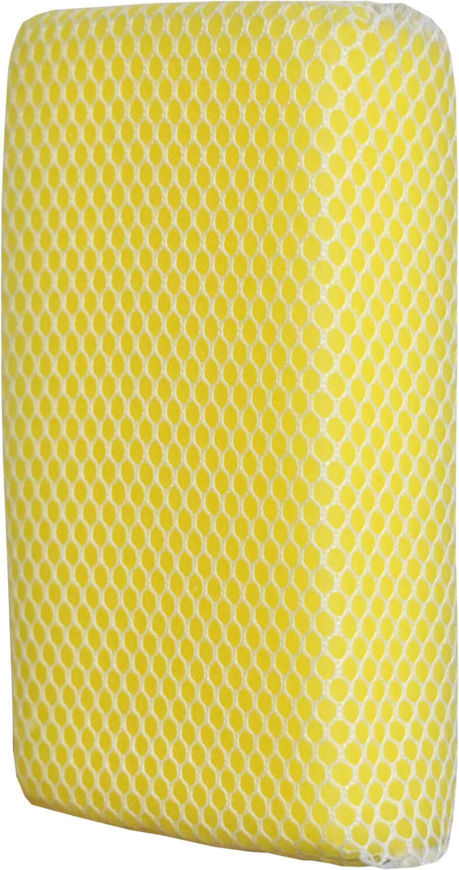 SPONGE – BUG