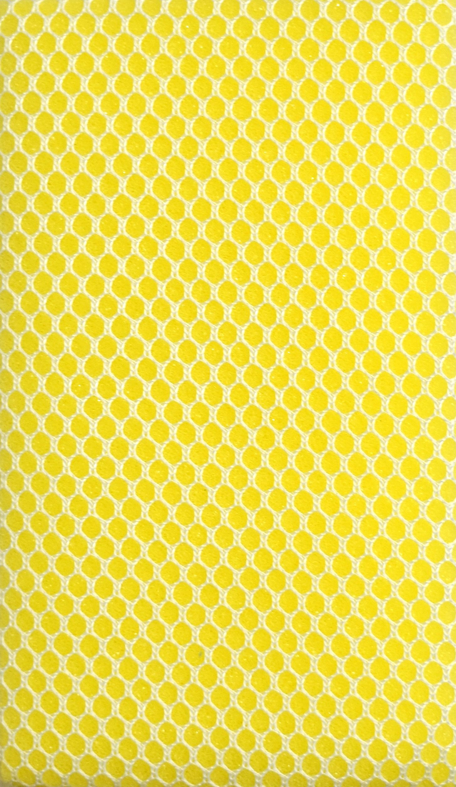 SPONGE – BUG