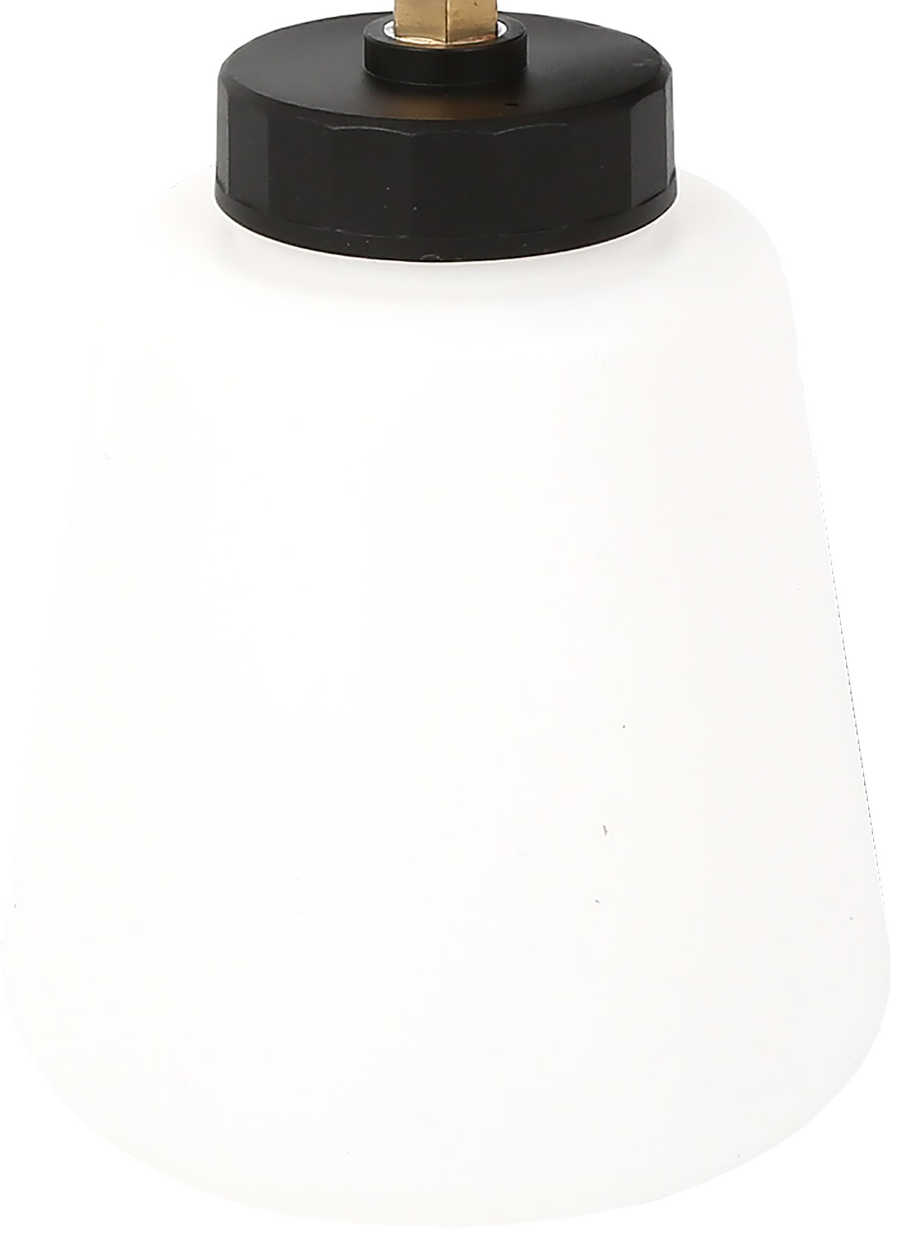1L Snow Cannon Foaming Pressure Sprayer