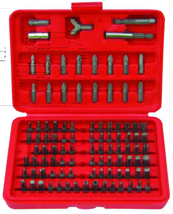 100pc 1/4” Hex Dr Combination Screwdriver Bits Set