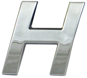 10pc Decorative 3D Raised Letter H