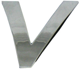 10pc Decorative 3D Raised Letter V