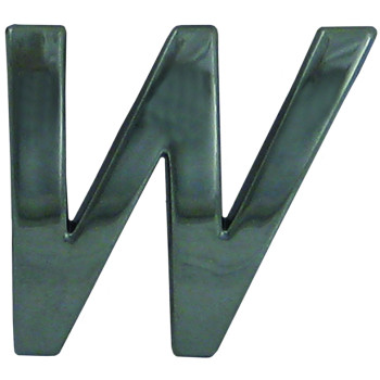 10pc Decorative 3D Raised Letter W
