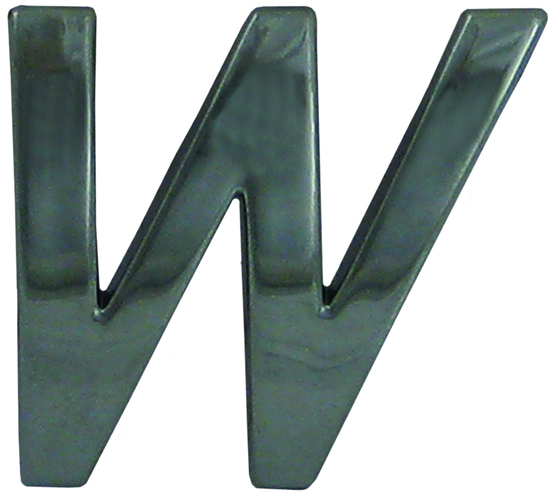 10pc Decorative 3D Raised Letter W