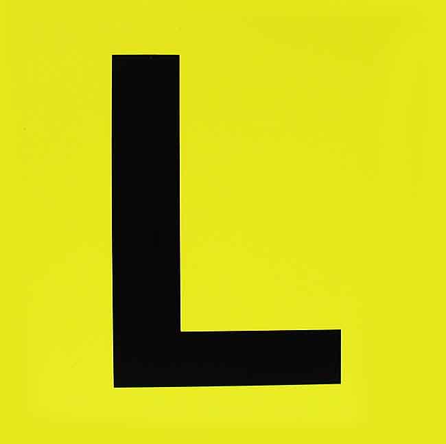 2pc Magnetic L Plates – Usable in all states