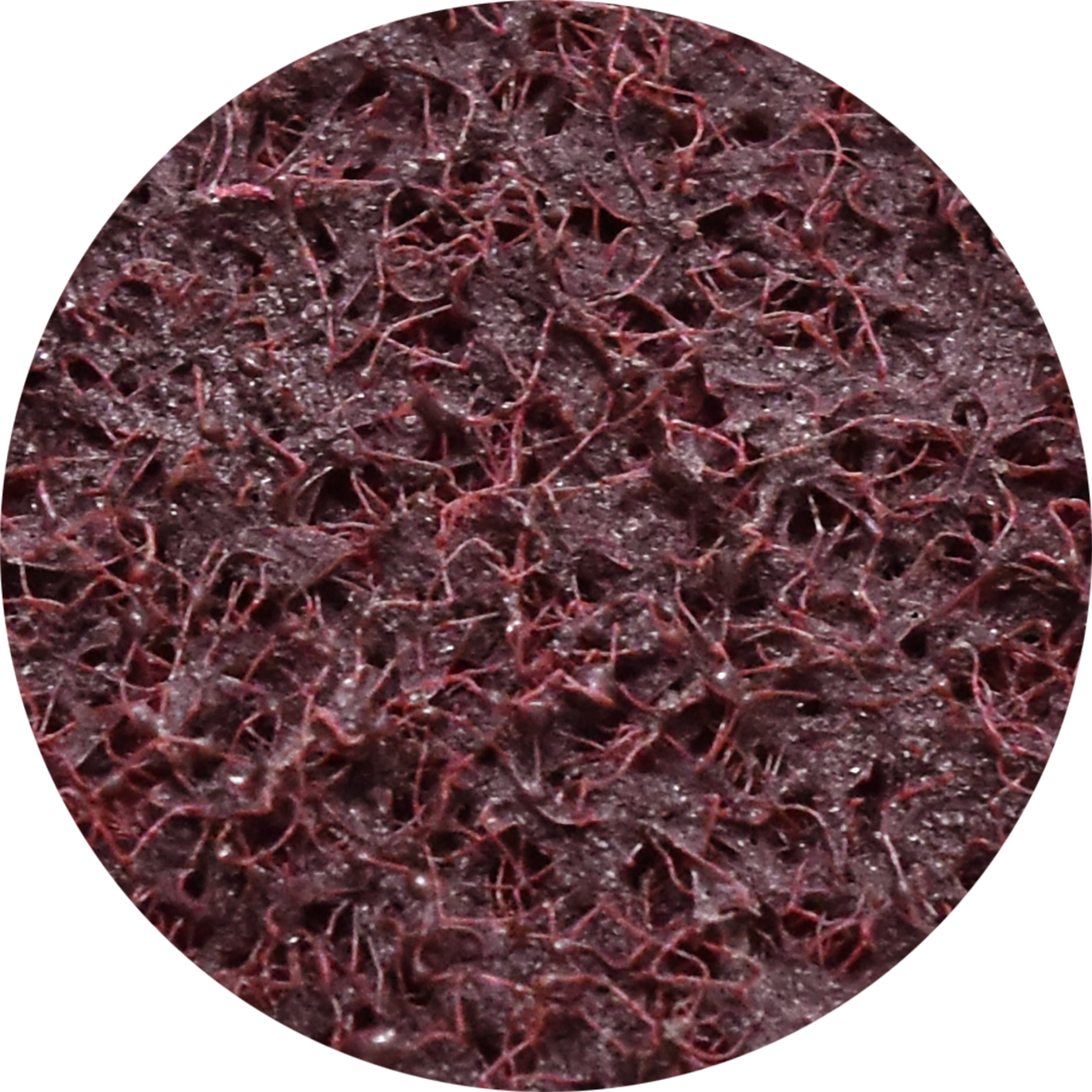 10pc Medium Non-Woven Aluminium Oxide Sanding Discs