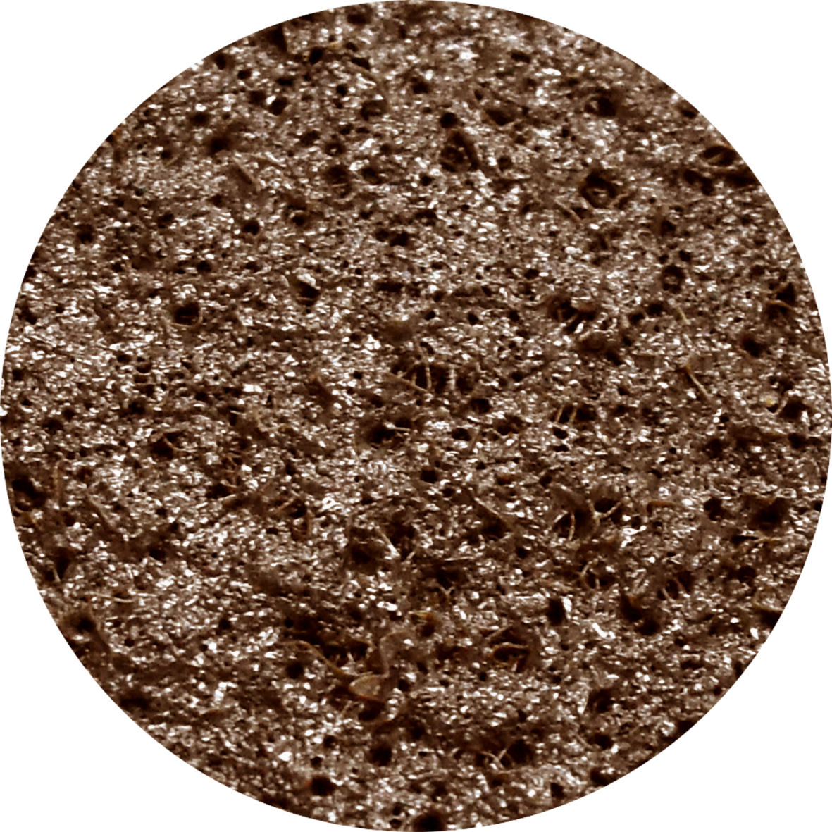 10pc Coarse Non-Woven Aluminium Oxide Sanding Discs