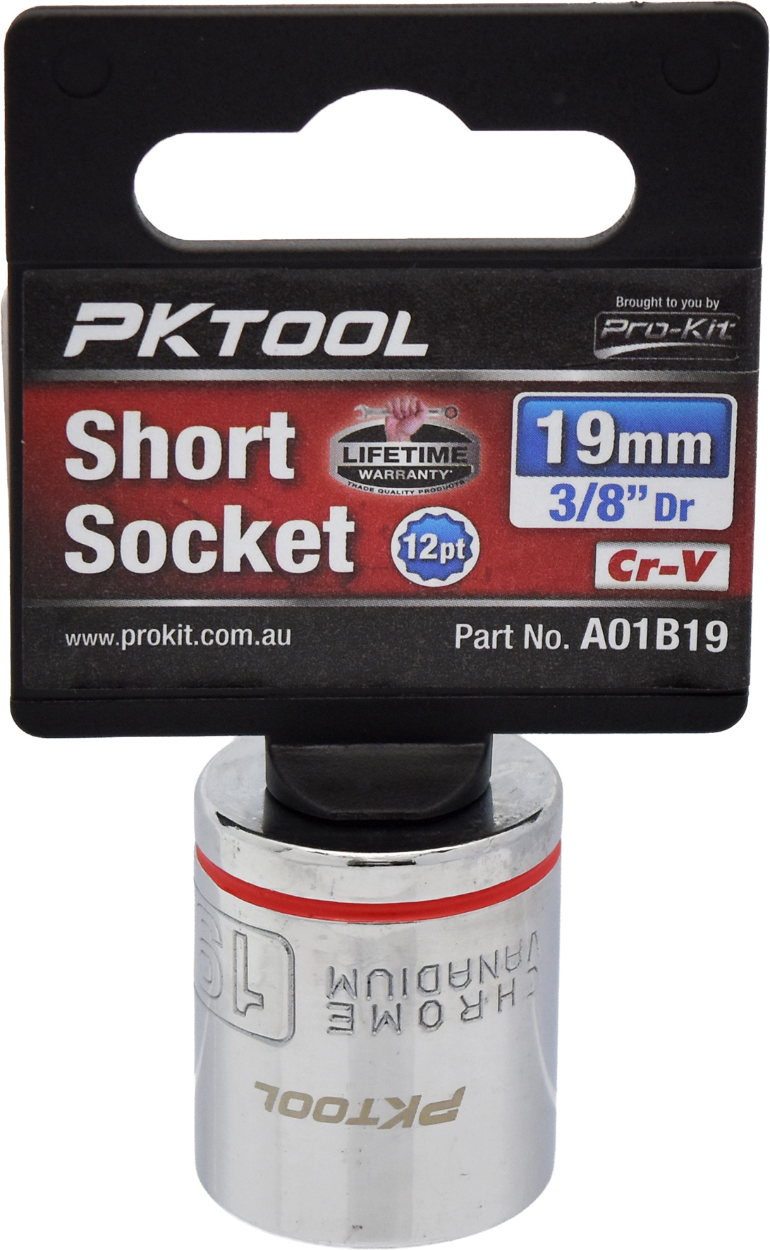 19mm 3/8″ Dr Short Socket 12pt